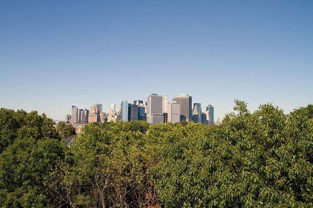 city above the trees by jphillipobrien2006 on Flickr